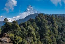 Solo Trekking or Guided Tour: Choosing the Best Option for your Mardi Himal Adventure