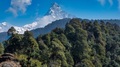 Solo Trekking or Guided Tour: Choosing the Best Option for your Mardi Himal Adventure