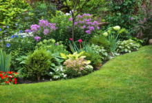 Landscape Contractors