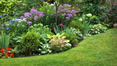 Landscape Contractors