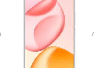 A Guide to Common Smartphone Camera Features