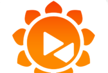 Sunflower Remote Control: Building a Stable and Secure Remote Support Platform