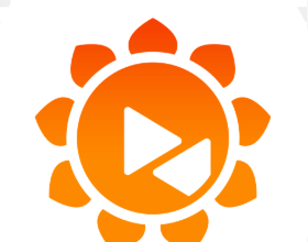 Sunflower Remote Control: Building a Stable and Secure Remote Support Platform