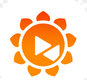 Sunflower Remote Control: Building a Stable and Secure Remote Support Platform