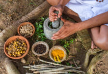 Top 7 Natural Remedies Backed by Ayurveda — And Why Personalization Matters