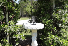 Fountain for Bird Bath Solar: Enhance Your Garden with Eco-Friendly Elegance