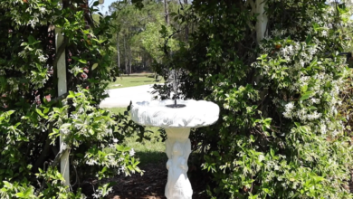 Fountain for Bird Bath Solar: Enhance Your Garden with Eco-Friendly Elegance