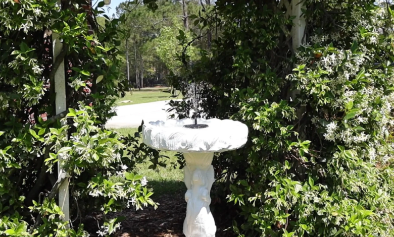 Fountain for Bird Bath Solar: Enhance Your Garden with Eco-Friendly Elegance