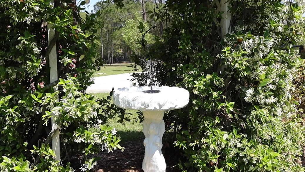 Fountain for Bird Bath Solar: Enhance Your Garden with Eco-Friendly Elegance - Tit Fees