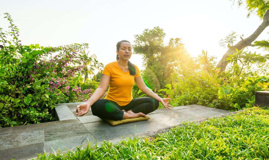 Online Meditation Course or In‑Person in Malaysia Centers? - Tit Fees