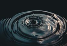 data analysis and strategy