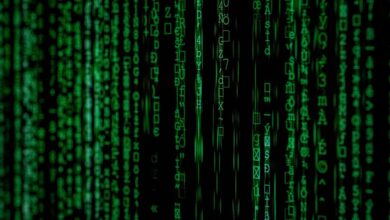 next gen vectors analysis