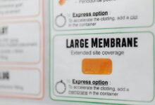 comprehensive overview of rozunonzahon