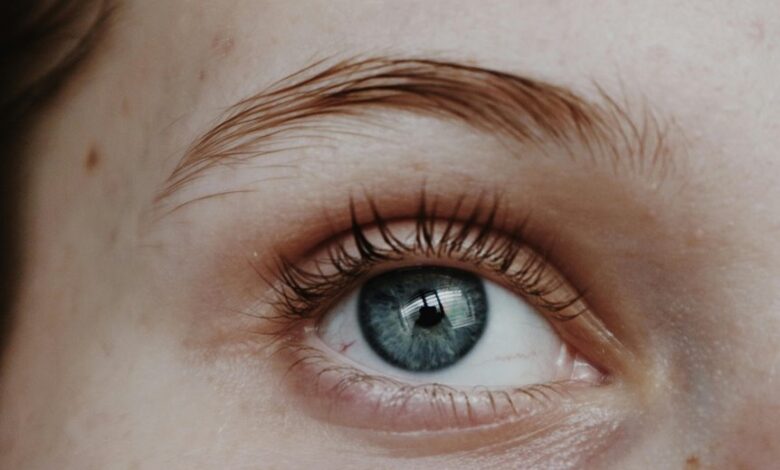 wiotra89 452n model features