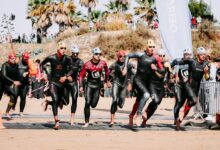 quantum momentum toward market success