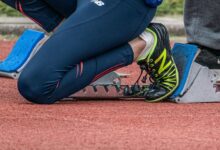 stellar horizon start 8475581255