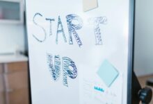 strategic apex start 8338460002