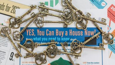 trailblazing drive for market opportunities