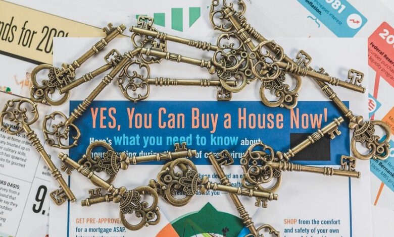 trailblazing drive for market opportunities