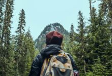 trailblazing edge start ventures