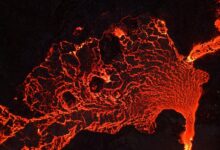 trailblazing flow across ventures