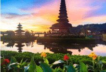 7 Long-Haul Travel Routes That Connect Saudi Arabia, Bali, and South Africa for Serious Globetrotters in 2026