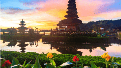 7 Long-Haul Travel Routes That Connect Saudi Arabia, Bali, and South Africa for Serious Globetrotters in 2026