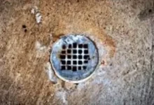 Seasonal Challenges That Cause Blocked Drains In Parramatta