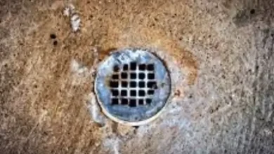 Seasonal Challenges That Cause Blocked Drains In Parramatta