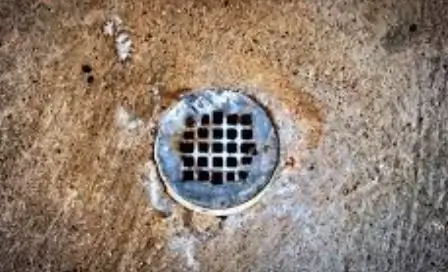 Seasonal Challenges That Cause Blocked Drains In Parramatta