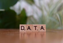 number registry lookups requested