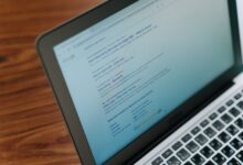 public registry reports identifiers requested