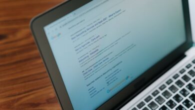 public registry reports identifiers requested