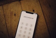 registry numbers for four phone listings