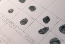 registry search reference numbers listed