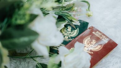 registry verification numbers listed