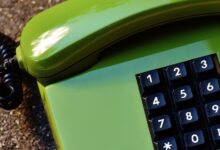verified numbers database query results